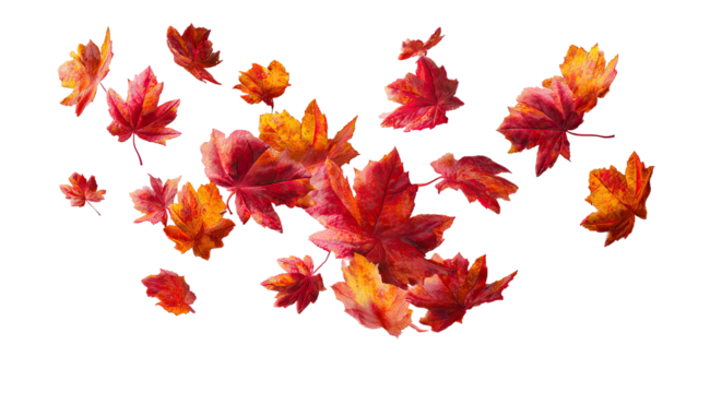 Autumn leaves, vibrant colors, fall foliage, scattered, floating in air