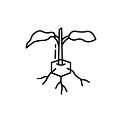 A black line drawing depicts a plant It has leaves and a stem emerging from a hexagonal base with roots. line icon editable stroke.