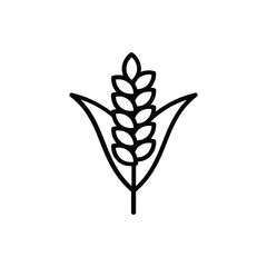 A black lineart illustration of a wheat plant depicting a stalk with leaves and a grain head. line icon editable stroke.