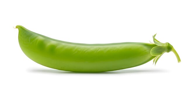Single fresh green sugar snap pea pod with stem, isolated PNG with Transparent Background