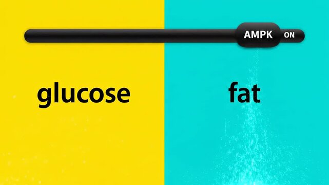 Bold AMPK Slider - Duotone Split Flow Balances as Switch Flips ON for Efficient Fuel Use