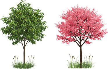 Obraz premium Jackfruit tree with green fruits and pink blossom tree, seasonal botanical contrast, grassy field, vibrant foliage, nature illustration, stock image