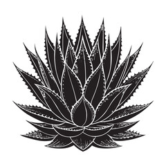 Black and White Agave Plant Vector Illustration – Decorative Succulent Design