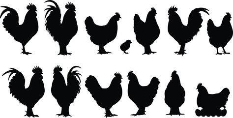 Farm poultry silhouettes of chickens, roosters, hens, chicks in various poses for agriculture, animal icon, rural design, vector illustration