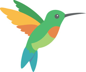 hummingbird vector illustrator