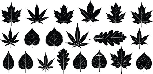 Black Leaf Silhouette Collection Featuring Diverse Botanical Shapes Including Maple, Oak, Cannabis, and Rounded Leaves for Nature Design Projects