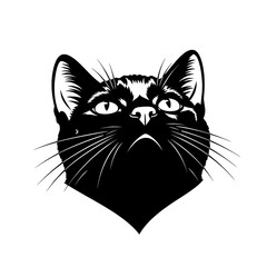 Obraz premium Close up black cat head looking upwards with wide eyes and prominent whiskers an artistic illustration isolated on white background isolated on transparent background