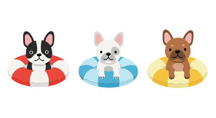 Adorable french bulldog and chihuahua puppies in colorful inflatable rings ready for summer fun on white isolated on white background