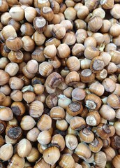 hazelnut placer, natural background of nuts