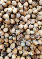 hazelnut placer, natural background of nuts