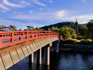 宇治川に架かる喜撰橋の早朝の風景