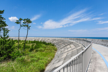 震災復興事業として整備された海岸沿いのサイクリングロード