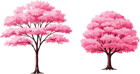 Two pink flowering trees with brown trunks, stylized cherry blossom top view for garden design, nature asset, landscape illustration, flat vector