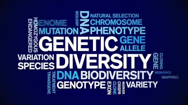Genetic Diversity animated word cloud-text design animation tag kinetic typography seamless loop.