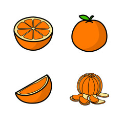 Illustration of Whole Orange and Slices of Orange Fruit Icon