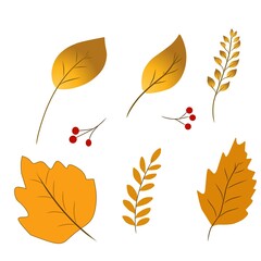 set of autumn leaves