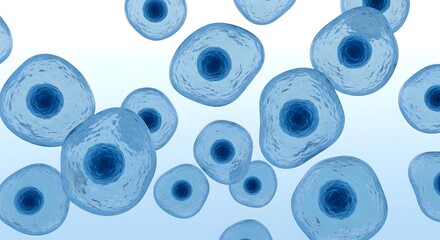 Fototapeta premium Detailed microscopic 3D render of various human cells floating in a liquid medium, showing the blue nucleus and clear cytoplasm