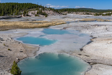 Porcelain Basin subbasin of Norris Geyser Basin, Yellowstone National Park, Wyoming.  Norris is one of the hottest and most acidic of Yellowstone’s hydrothermal areas. hot springs and fumaroles.