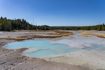 Porcelain Basin subbasin of Norris Geyser Basin, Yellowstone National Park, Wyoming.  Norris is one of the hottest and most acidic of Yellowstone’s hydrothermal areas. hot springs and fumaroles.