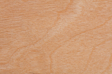 Wooden smooth texture close up. Natural background