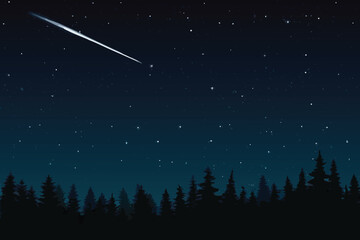 A dark night sky with a shooting star and silhouetted trees