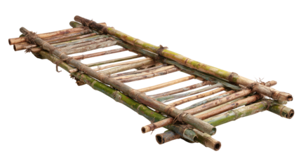 Simple bamboo stretcher, crafted from bundled poles