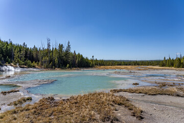 Porcelain Basin subbasin of Norris Geyser Basin, Yellowstone National Park, Wyoming. Norris is one of the hottest and most acidic of Yellowstone’s hydrothermal areas. hot springs and fumaroles.