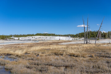 Porcelain Basin subbasin of Norris Geyser Basin, Yellowstone National Park, Wyoming.  Norris is one of the hottest and most acidic of Yellowstone&rsquo;s hydrothermal areas. hot springs and fumaroles.