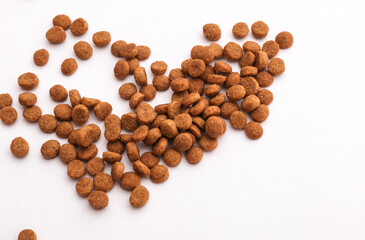Dry kitten food on a white background