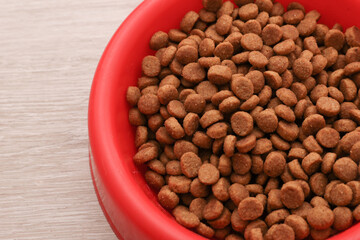 Bowl with dry cat food close-up