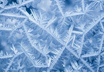 Delicate ice crystal formations creating mesmerizing winter patterns