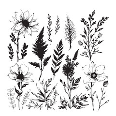 Flower brush hand-drawn vector set. Hand-drawn doodle flower, floral leaf elements in brush stroke ink style. Simple abstract botanical silhouette set for nature black paint art. Vector illustration.