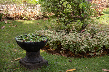 A black stone planter filled with lush green foliage sits on a vibrant green lawn, framed by a...