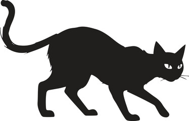 a cat walking on the ground , cat walking position , a black cat walking 