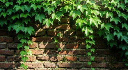 Vibrant green leaves drape over an old reddish-brown brick wall with sunlight casting intricate shadows