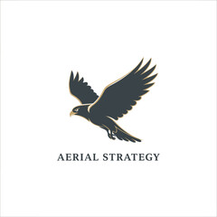 Fototapeta premium air strategy eagle patriotic best air force outdoor identity