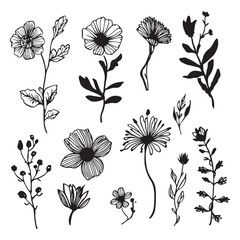 Flower brush hand-drawn vector set. Hand-drawn doodle flower, floral leaf elements in brush stroke ink style. Simple abstract botanical silhouette set for nature black paint art. Set of vector icons. 