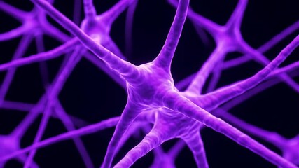 Brain Cells Exploring the Structure of Neurons & Their Connections