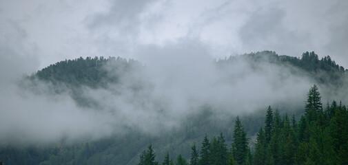 Mystical foggy landscape of Altai mountains