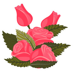 A bouquet of bright pink roses. The composition consists of three flowers, two buds, and leaves. Vector illustration isolated on a white background.