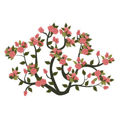 A round rose bush with blooming dusty pink roses. Vector illustration on a white background.