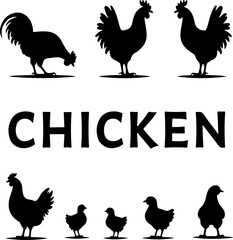 Chicken Silhouette Collection Bundle