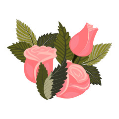 An arrangement of elegant light pink roses, a bud, and leaves. Vector illustration on a white background.