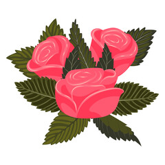 A bouquet of bright pink roses. Arrangement of three flowers and leaves. Vector illustration isolated on a white background.
