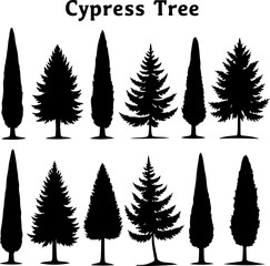 Cypress Tree Silhouette Bundle