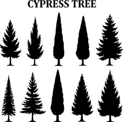 Cypress Tree Silhouette Bundle