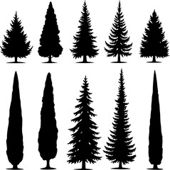 Cypress Tree Silhouette Bundle