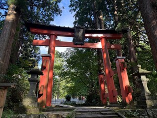 Moss-covered stone steps leading to a shrine surrounded by cedar trees on Mt Haguro, Yamagata, Japan