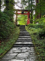 Moss-covered stone steps leading to a shrine surrounded by cedar trees on Mt Haguro, Yamagata, Japan