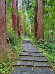Moss-covered stone steps leading to a shrine surrounded by cedar trees on Mt Haguro, Yamagata, Japan